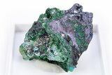 Rare Blue Buttgenbachite w/ Malachite & Cuprite - DR Congo #305422-1